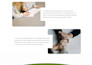 setup your podia online course website